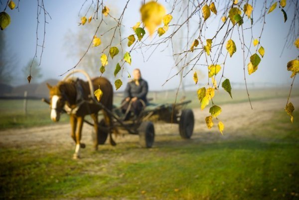 Фотовиставка Ніни Ліщук